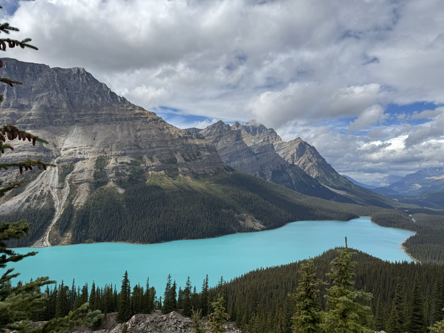 안전하고 알찬 록키투어 하고 돌아왔어요😄