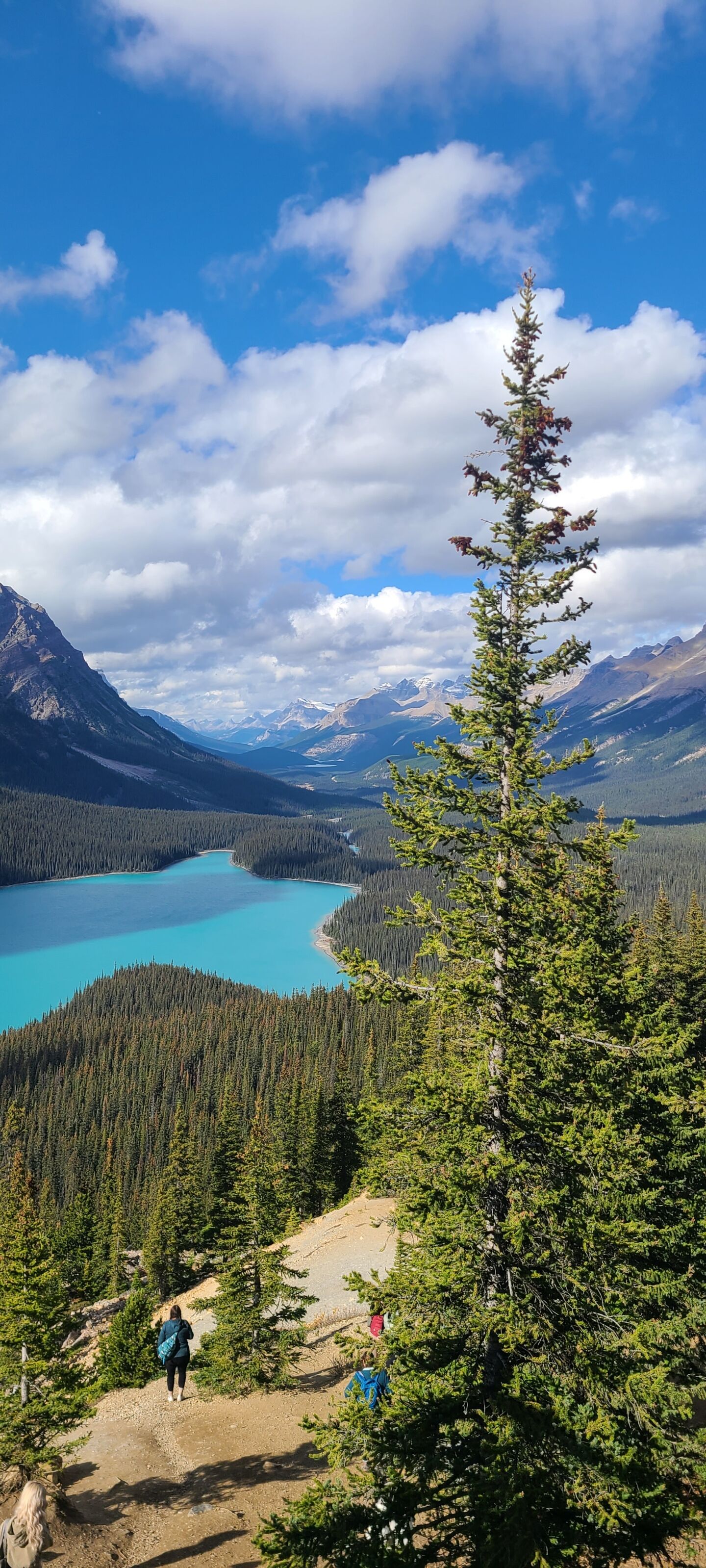 결론적으로는 너무 잘한 선택이었습니다😭