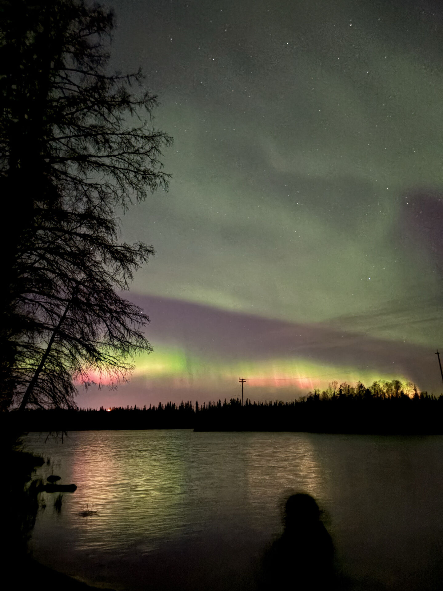 오로라 투어 너무 재밌었어요! 강추합니다! 