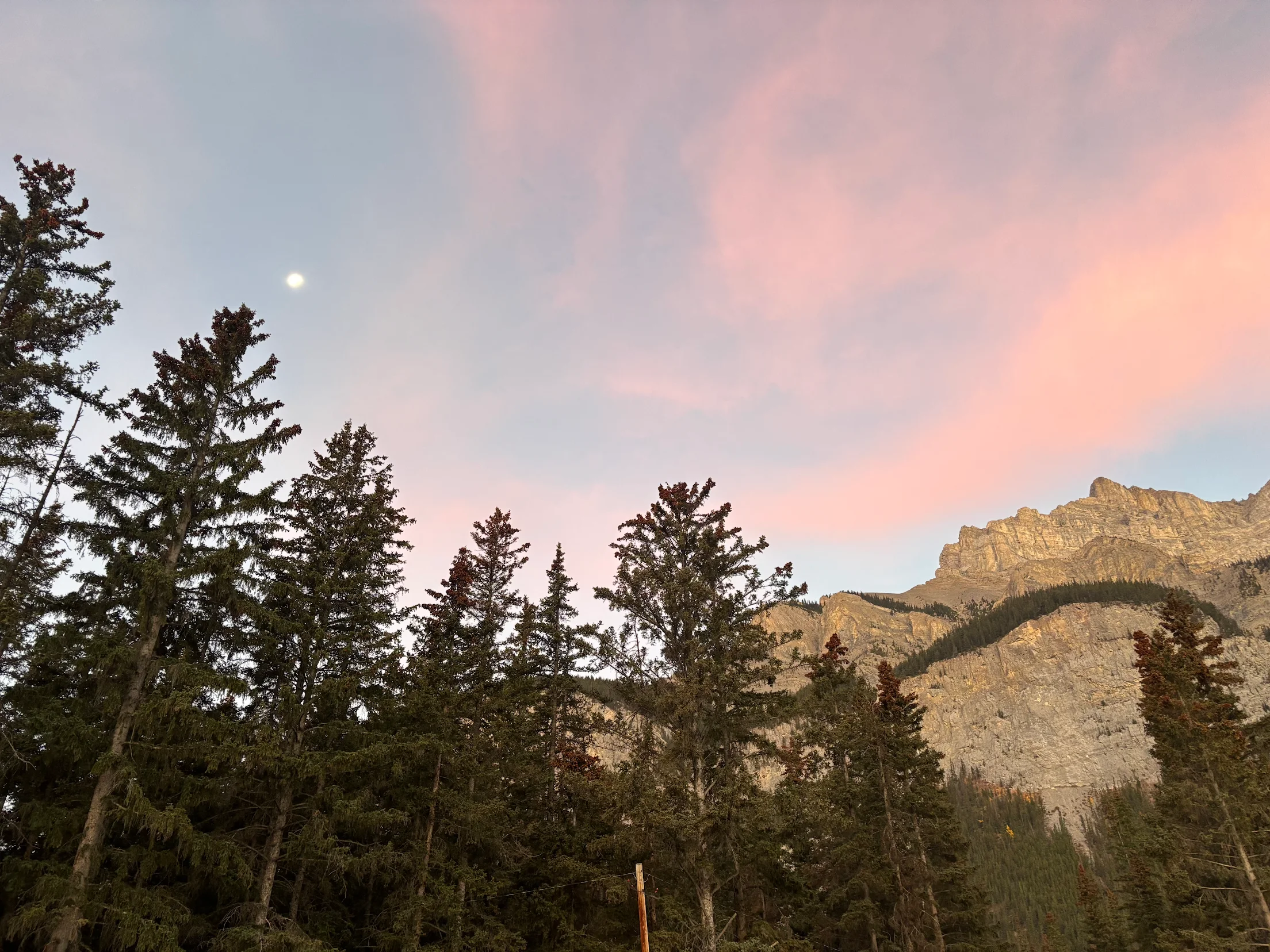 아는 만큼 보이는 밴프, 보스 가이드님의 알찬 투어 