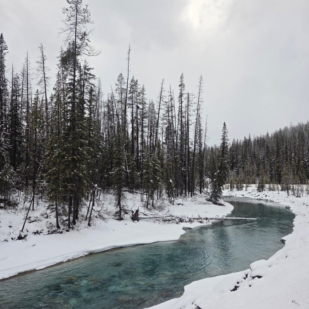 결론부터 말하면, 정말 최고의 선택!