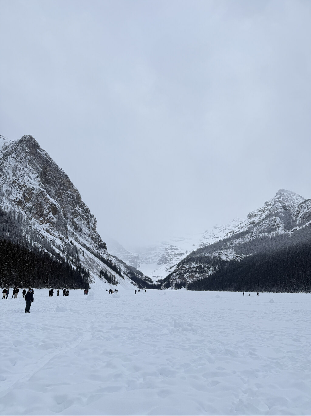 즐거운 가족 여행을 했어요. 감사합니다 