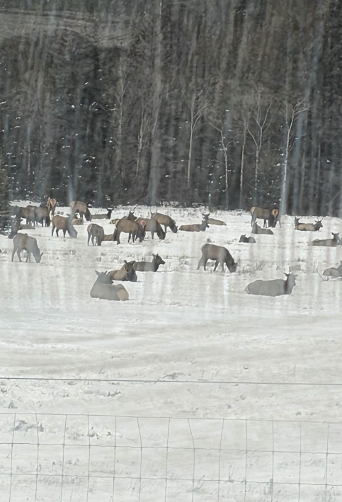 멋진 가이드, 안전한 운전, 그리고 잊지 못할 3박 4일