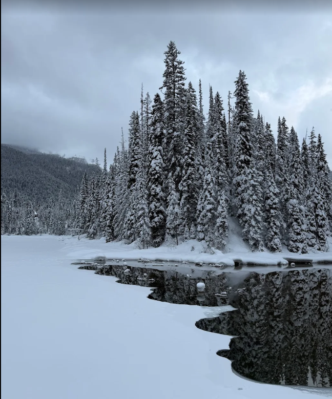 박보스 가이드님·제프 캡틴님과 함께한 가족 겨울 로키 여행