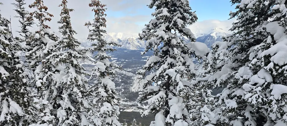 겨울에 반하고, 여름에 다시 찾을 록키 여행