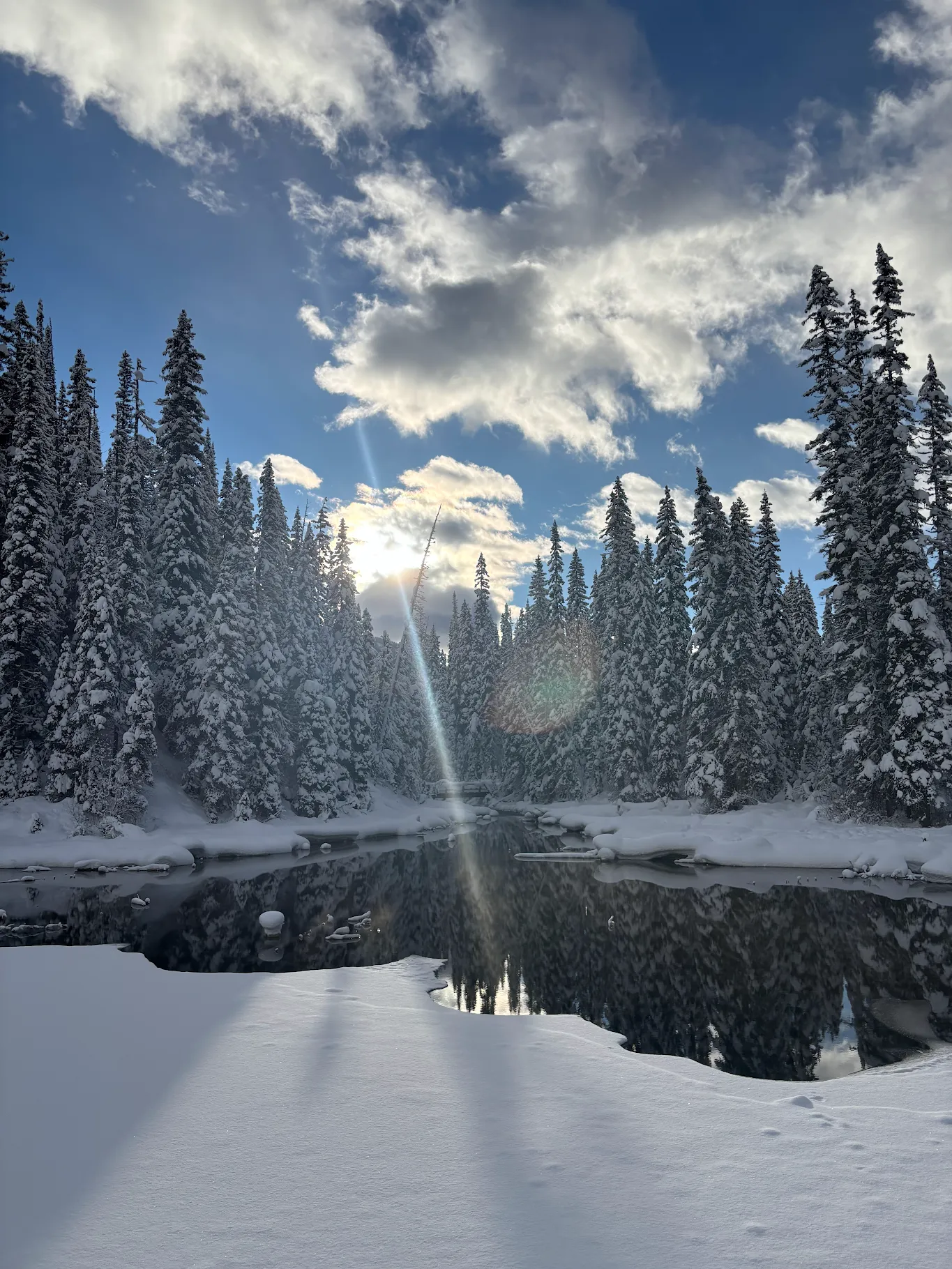 12월의 기적이 된 겨울 로키