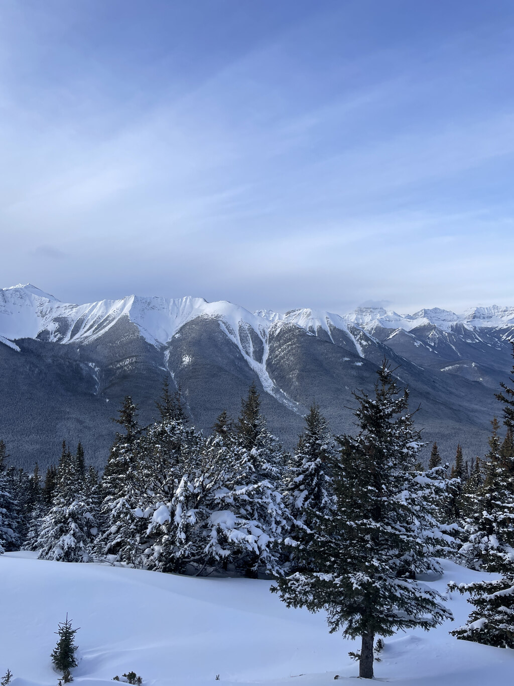 ❄️ 함박눈 내리는 밴프에서 즐긴 12/23-26 3박 4일 여행