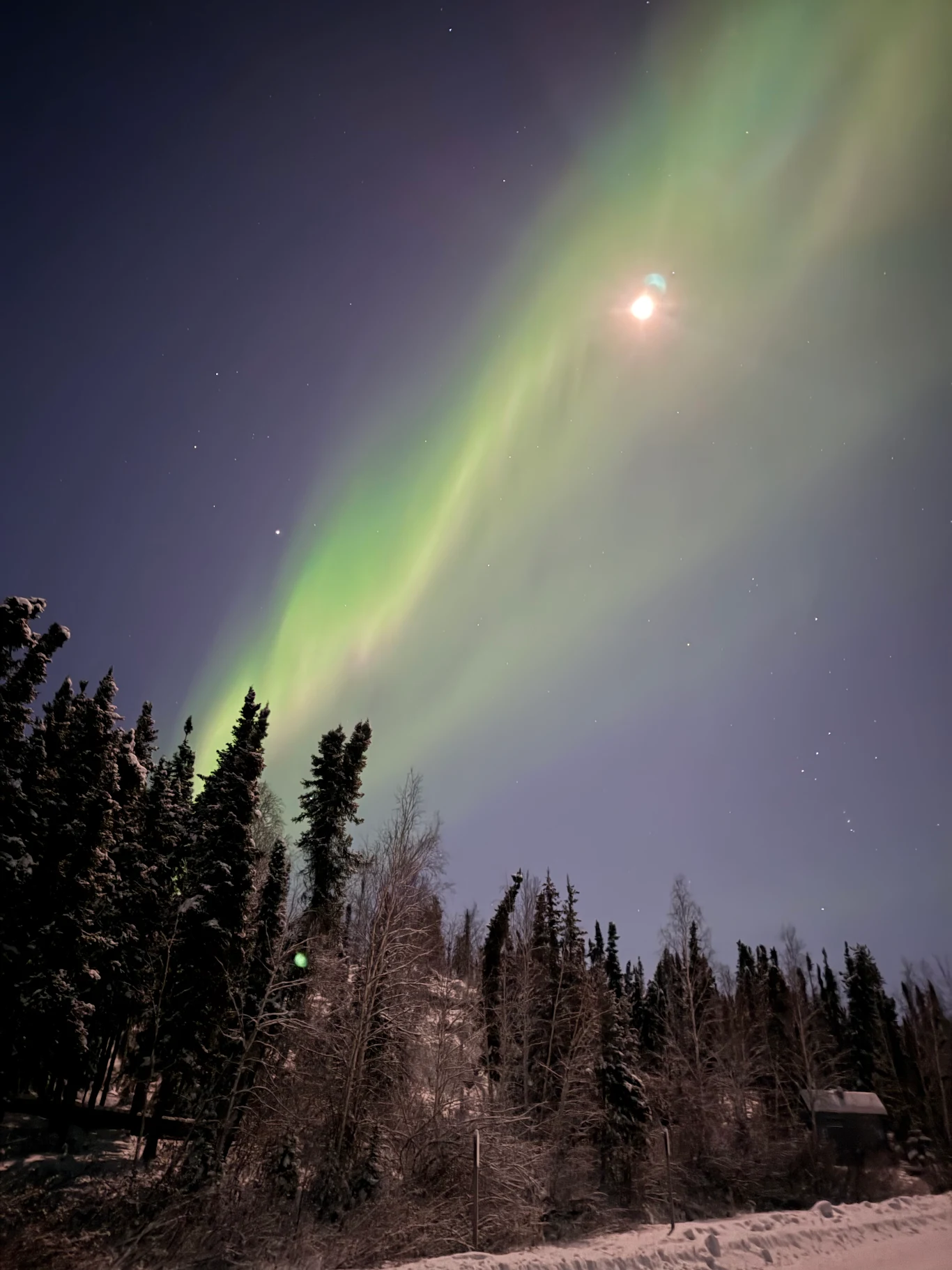 오로라, 잡았다! 3박 4일 옐로나이프