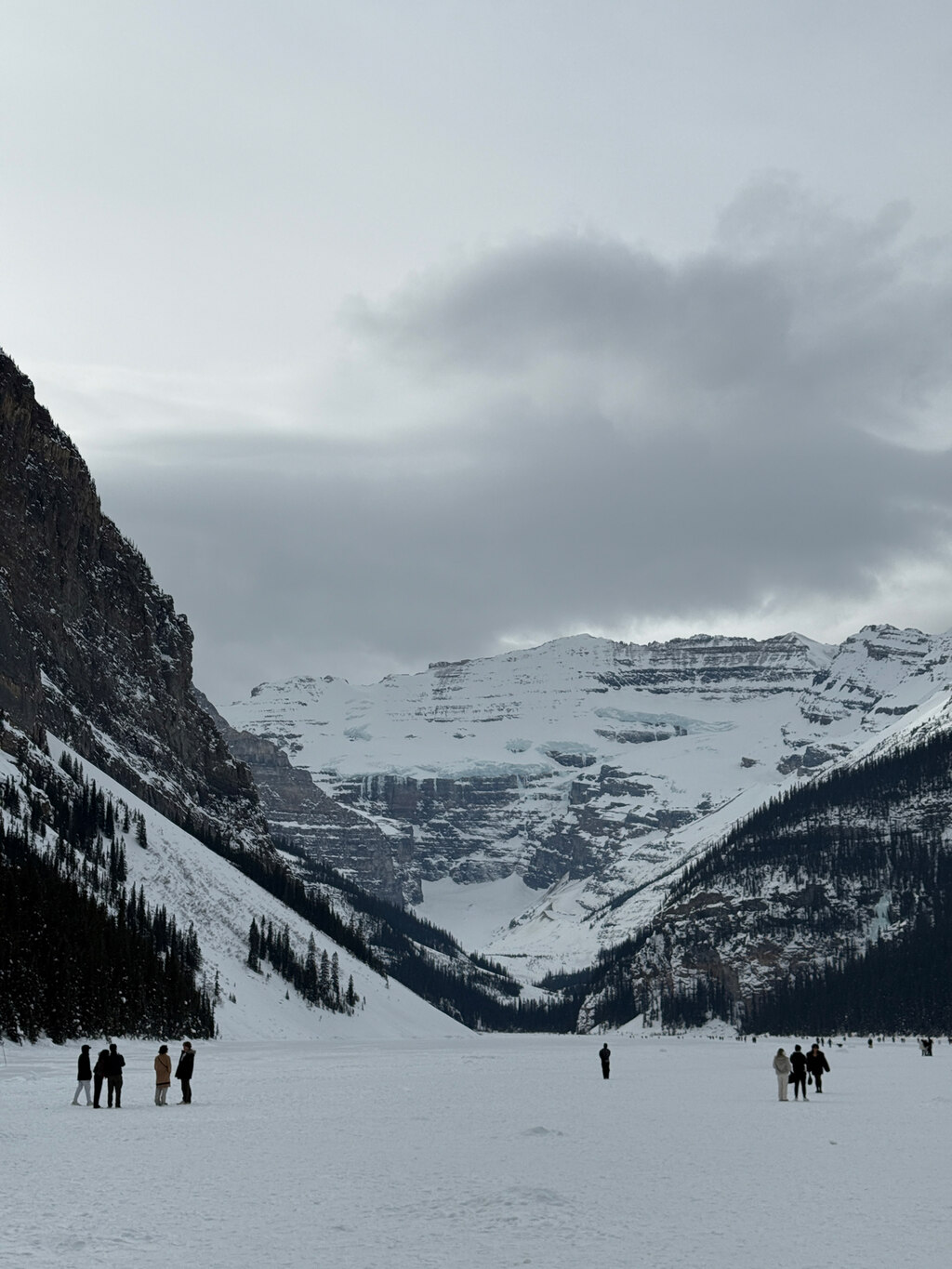 즐거운 경험으로 다음에도 이용할 것 같습니다🙃