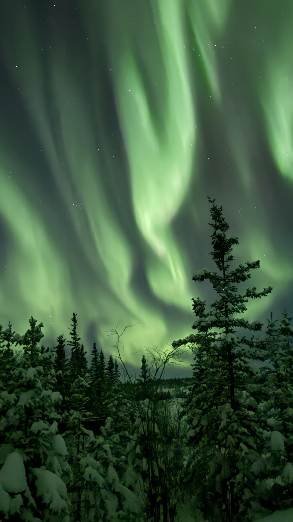 투어하길 정말 잘했다고 생각드는 오케이투어의 오로라 헌팅!!! 최고!!