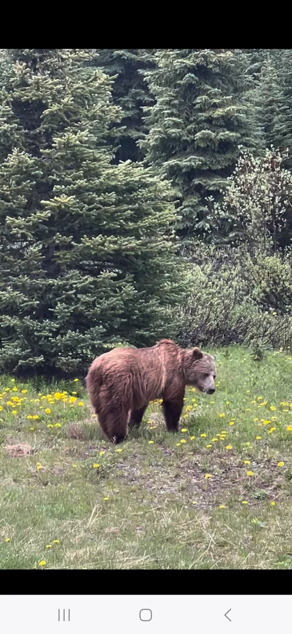 Thank you for creating such beautiful memories that I will never forget!