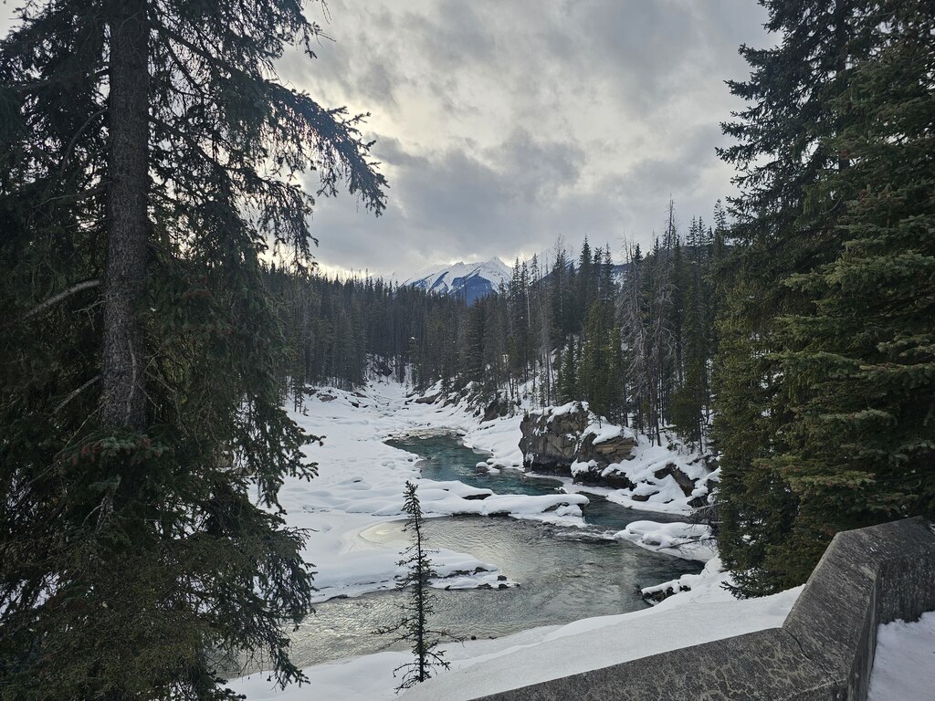  버스타고 편하게 잘 왔다갔다 했습니다.