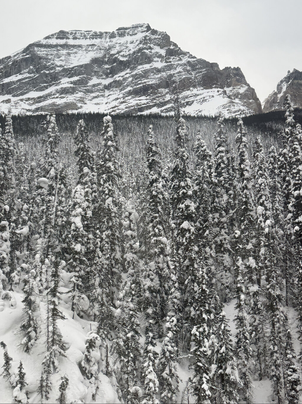 100점짜리 여행에 공감이 많이 됩니다. 