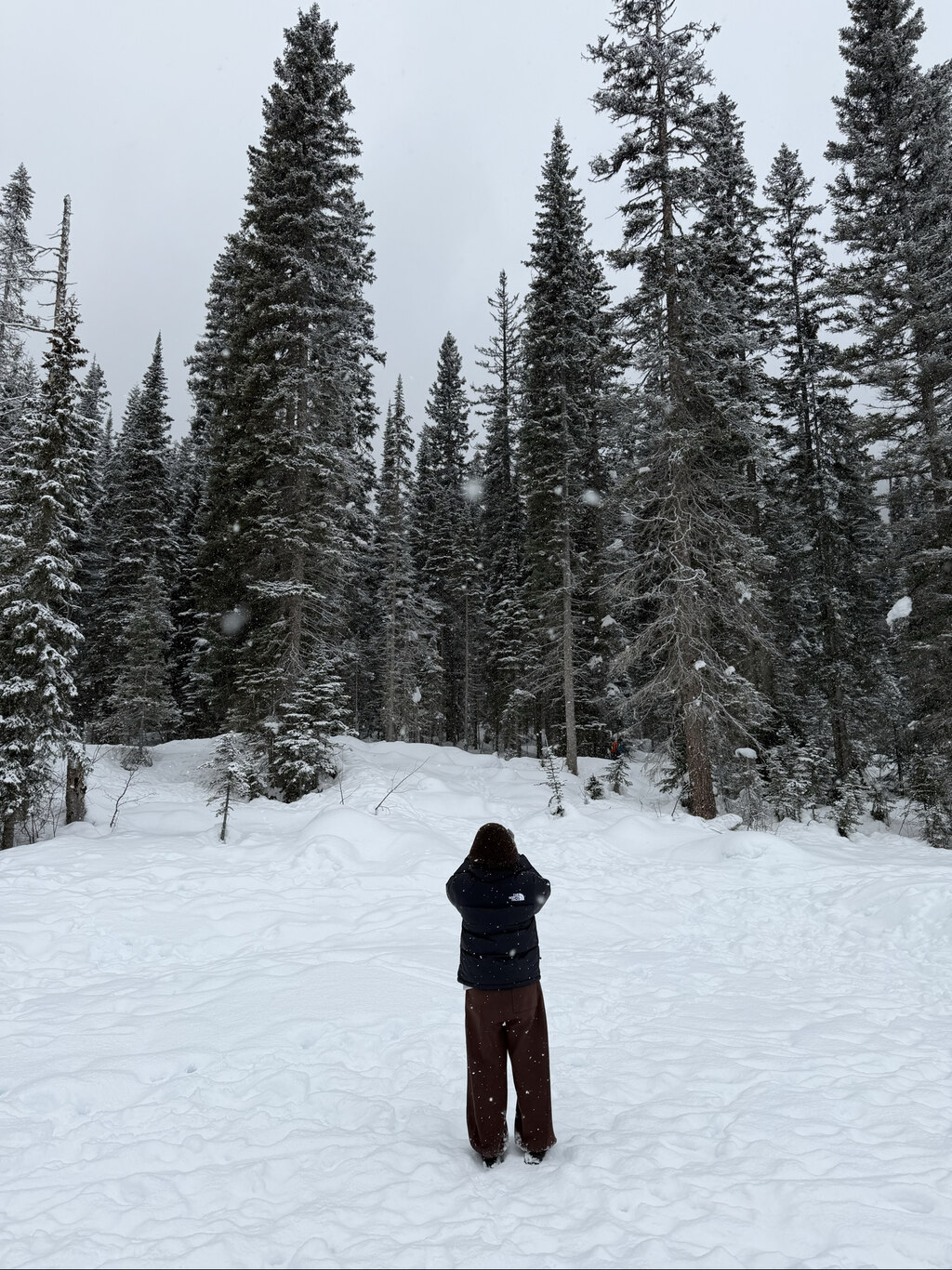 멋진 겨울의 산맥을 볼 수 있고, 호수가 녹은 여름도 궁금해지는 여행