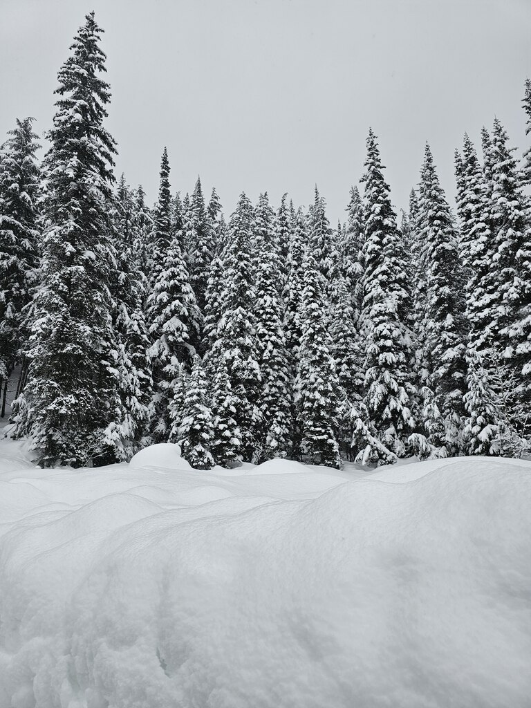 고민 많이 했는데, 결과적으로는 신청하길 정말 잘했다는 생각이 듭니다