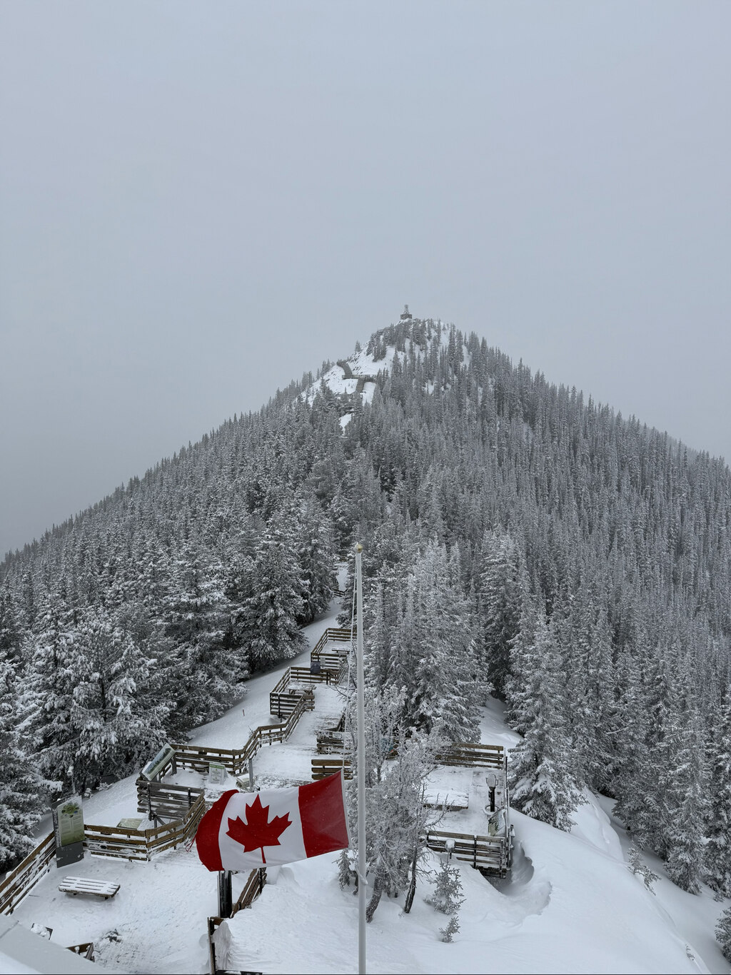 투어 동선이 알차고 자유시간이 충분해 사진과 맛집 탐방까지 여유롭게 즐기며 힐링!