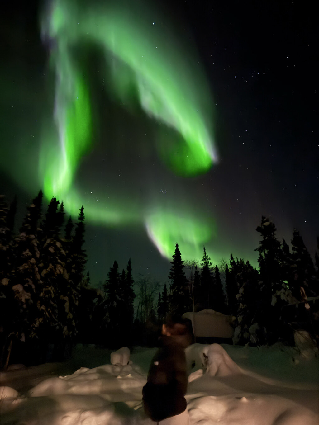 기대 이상으로 행복했던 옐로나이프 오로라 여행