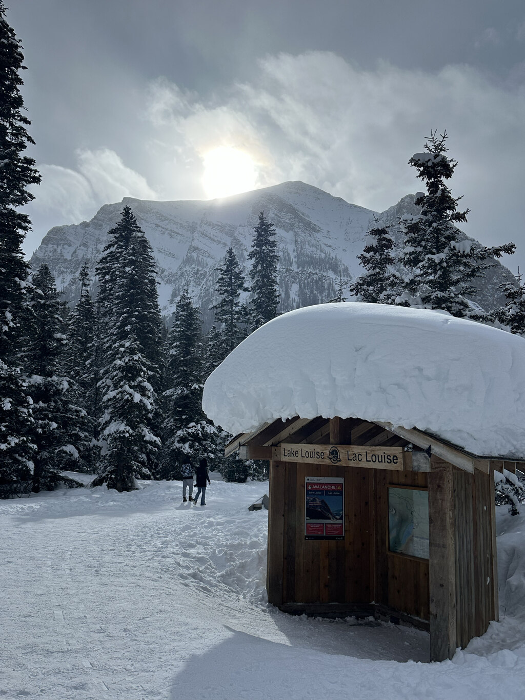버스 좌석도 편하고 눈길 운전도 안정적이셔서 투어에만 온전히 집중할 수 있었습니다
