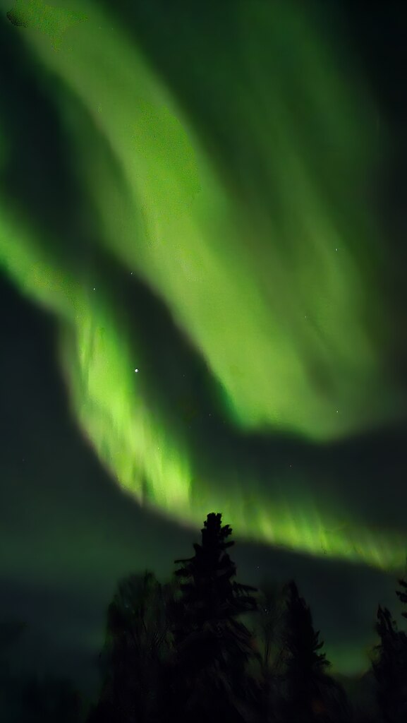 진한 오로라도 보고 아주 잘 놀다 갑니다!!