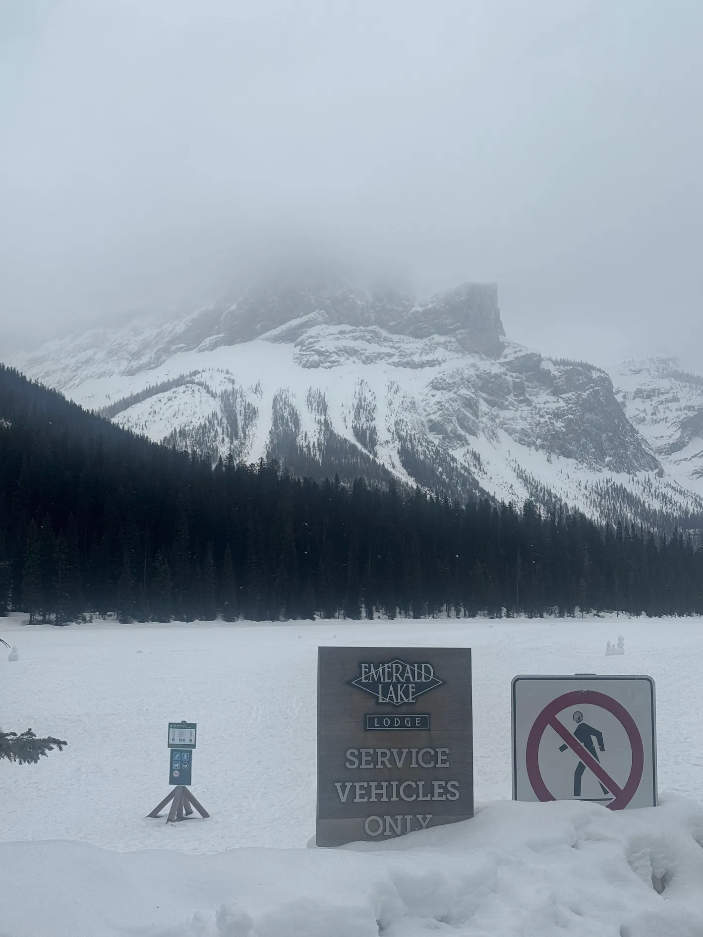 기대 이상으로 느낀 큰 감사