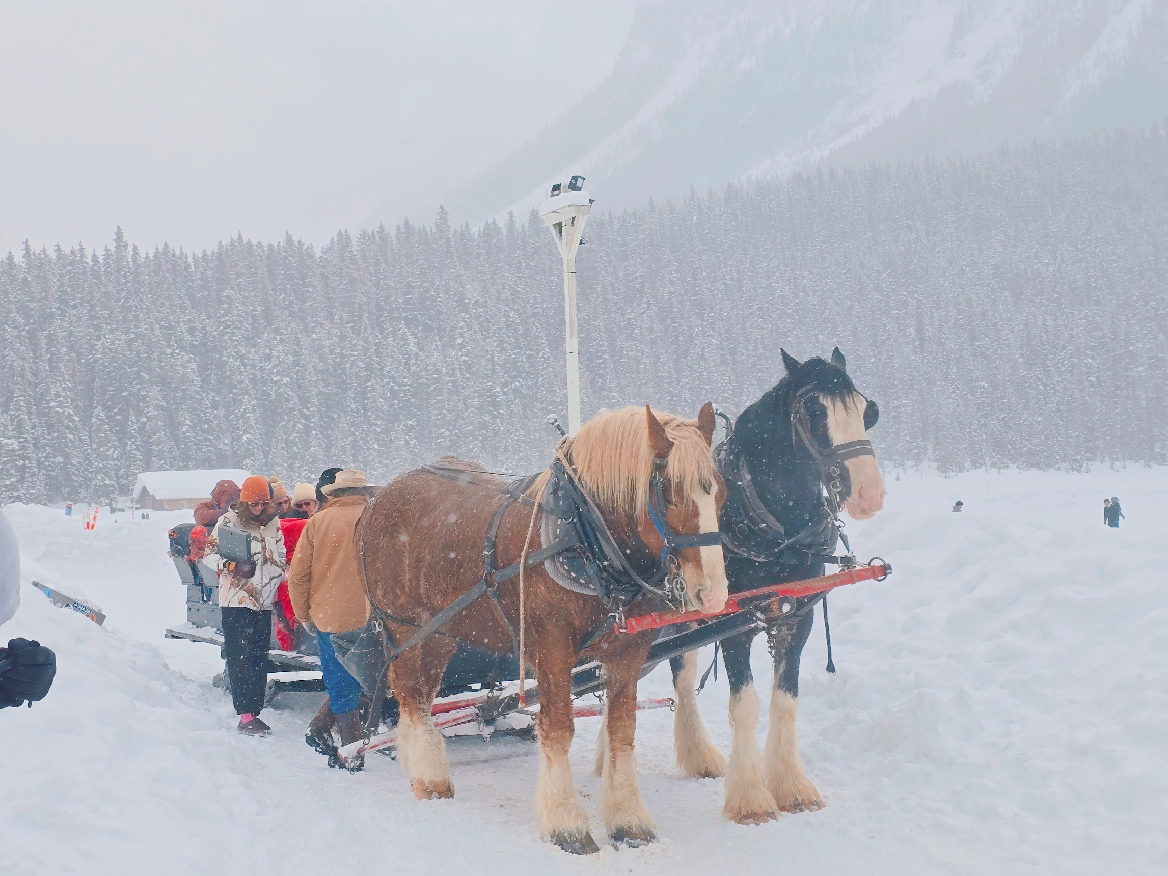 덕분에 정말 만족스러운 벤프 여행