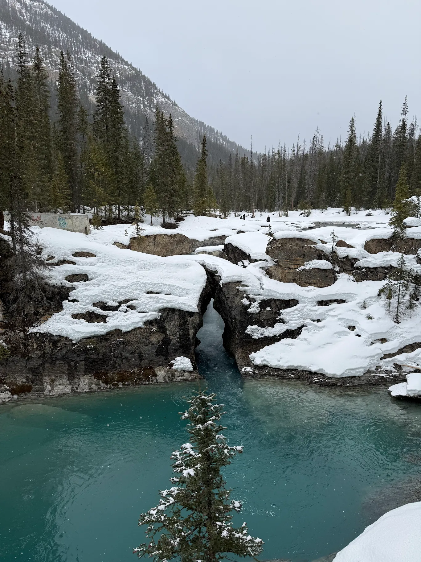 여름에도 오고싶어요 