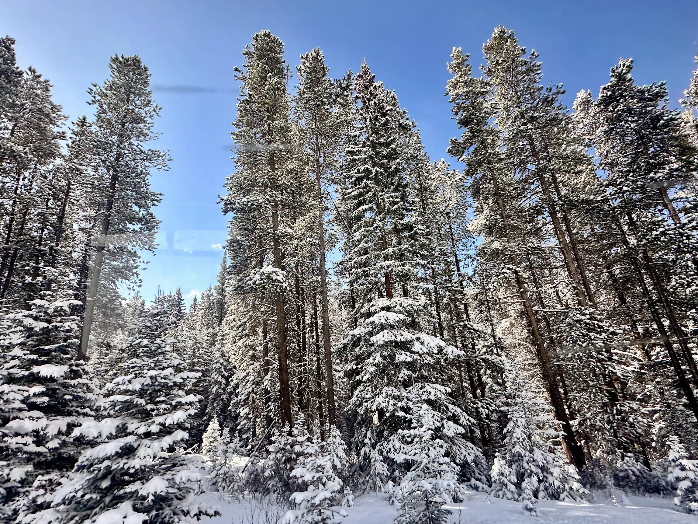 밴프 투어를 다녀왔는데 전반적으로 만족스러운 여행