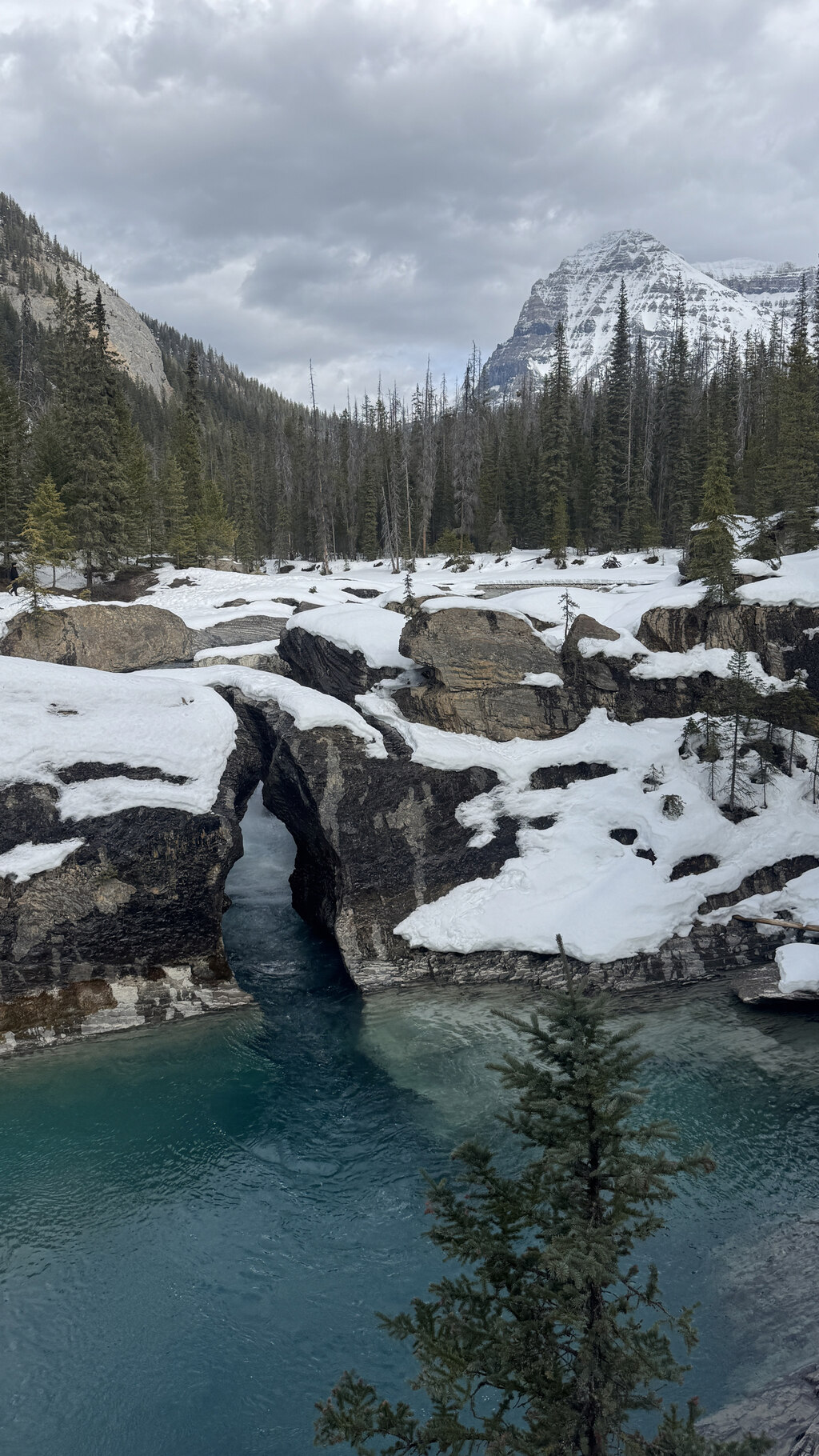 투어 코스도 너무 완벽했습니다!