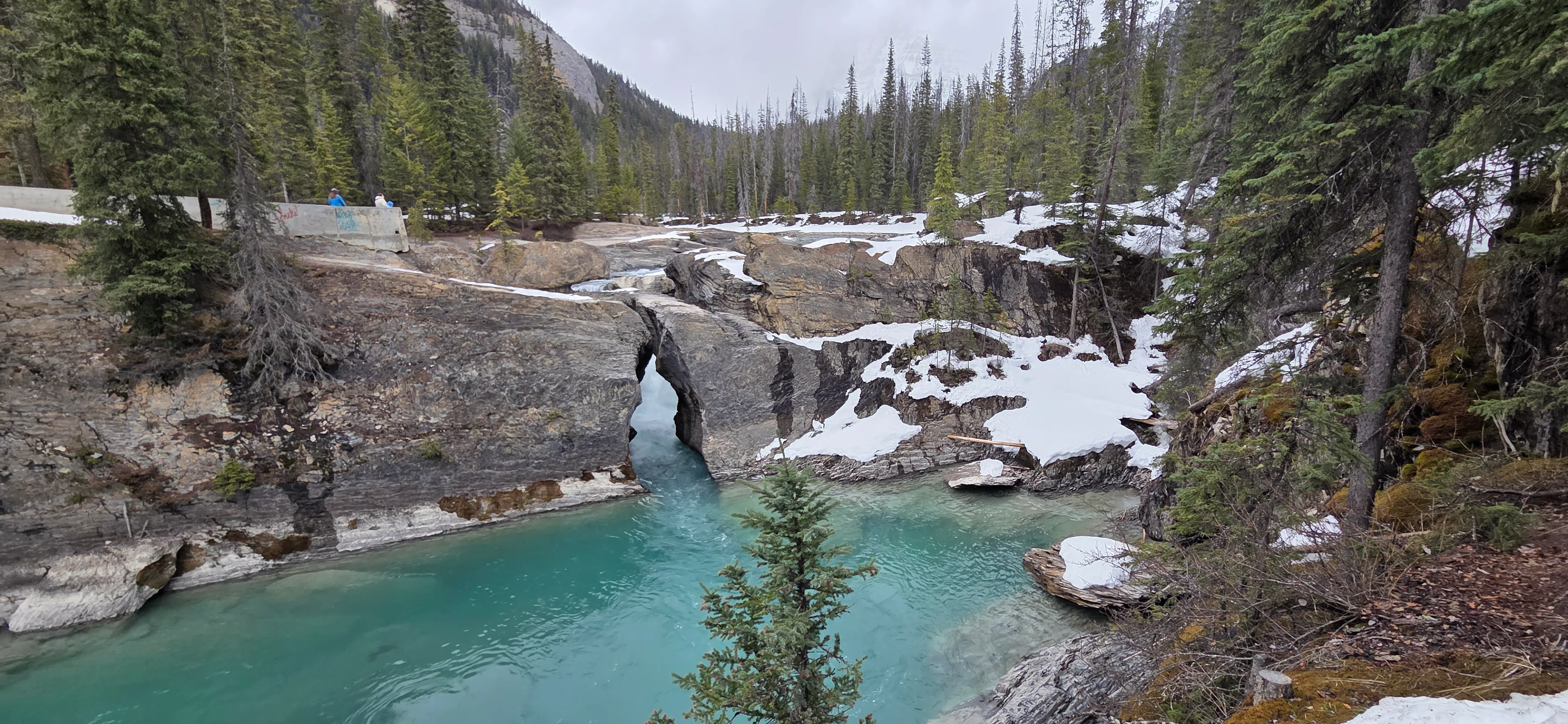 여름 록키 보러 또 오겠습니다