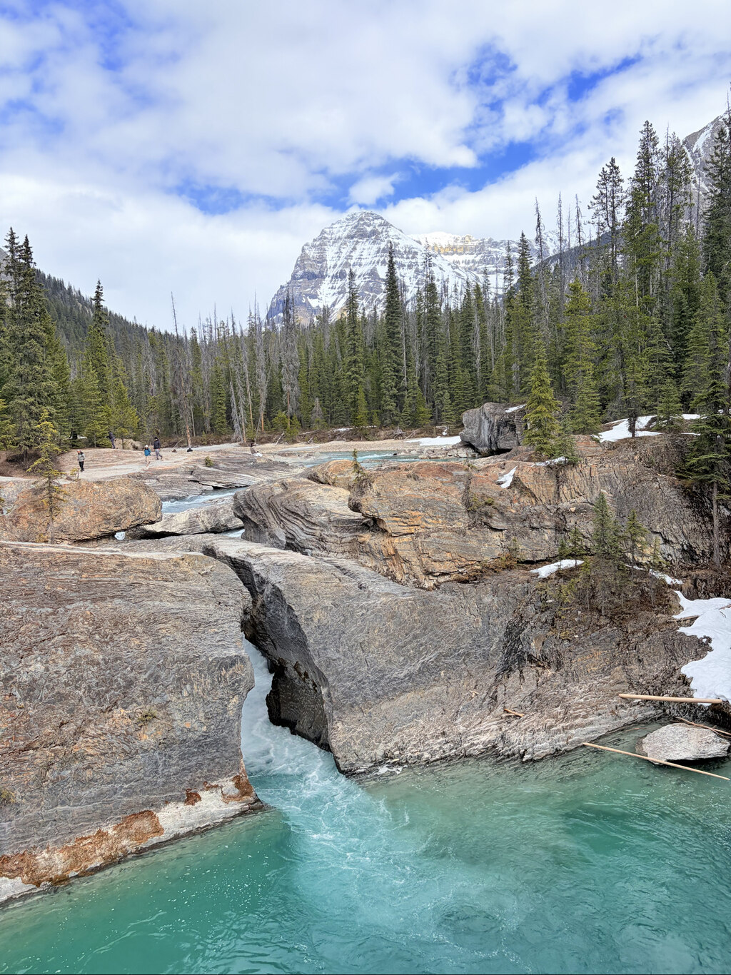 정말 정말!!! 행복하고 즐거운 록키 여행이었습니다