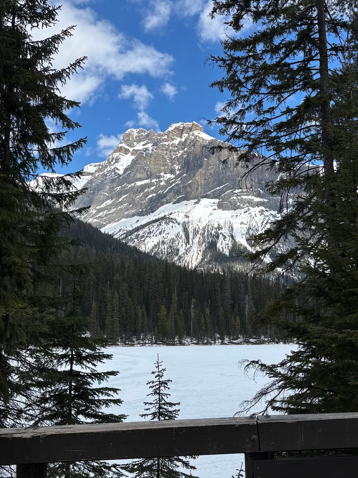쏘 젠틀하고 나이스하신 가이드님, 동생과 행복한 기억 