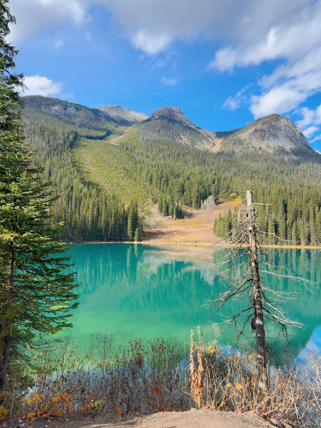 여행 일정도 전반적으로 알차고 즐거웠습니다.