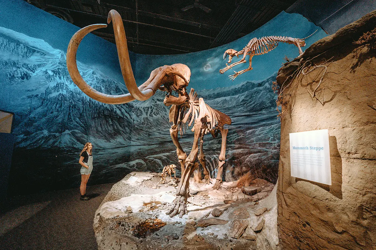 로얄 티렐 박물관 (Royal Tyrrell Museum)