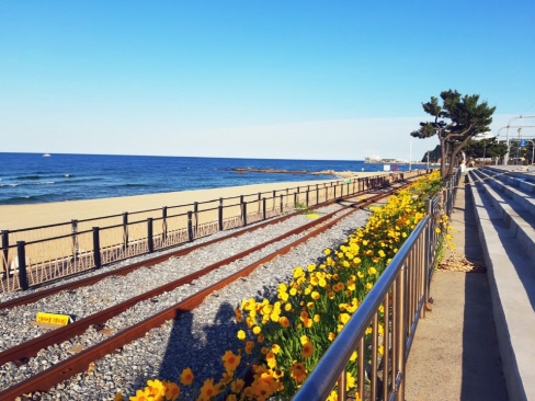 Jeongdongjin Rail Bike