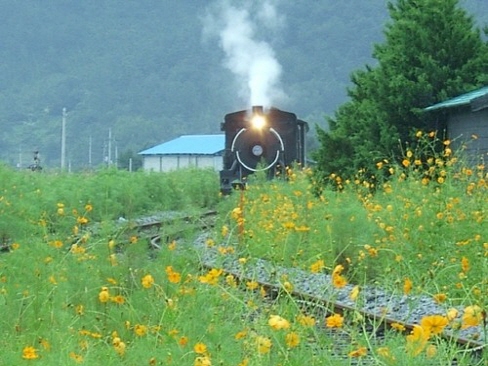 Seomjingang Train Village