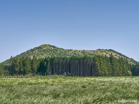 Andol Oreum