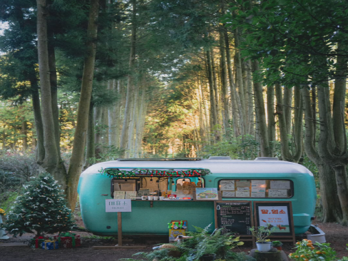 Andol Oreum Secret Forest