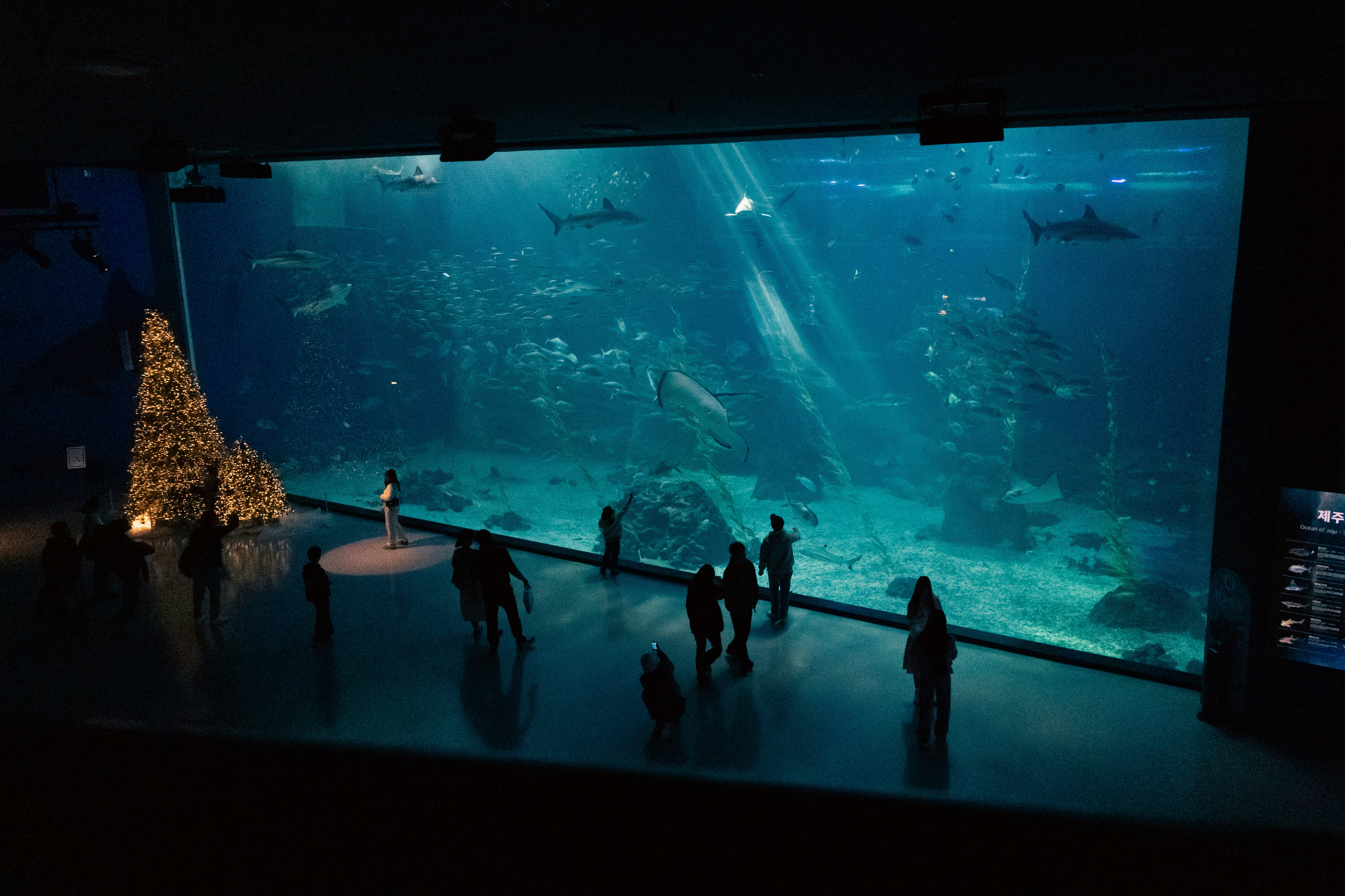 Jeju Aqua Planet