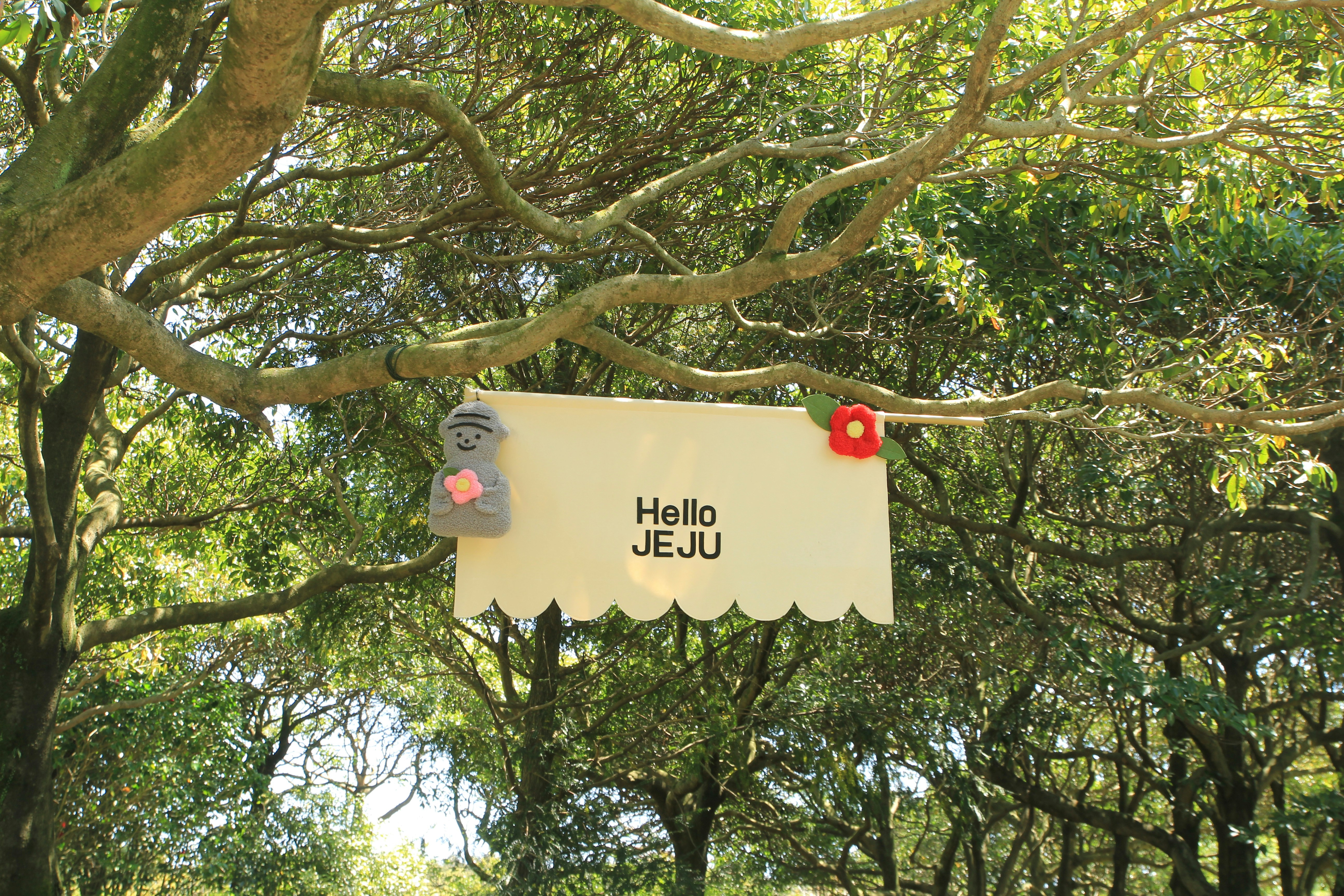 Camellia Hill