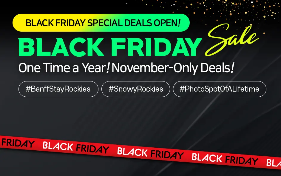 Black Friday Promotion