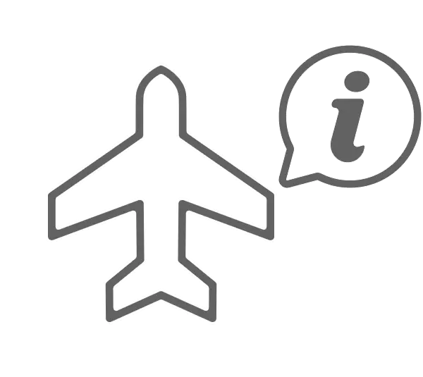 공항 출도착